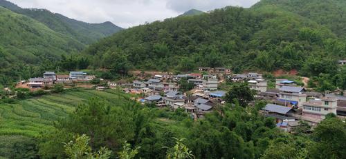 云南景谷县有什么特产啊?景谷民乐镇到景谷多少公里-图2 云南景谷县有什么特产啊?景谷民乐镇到景谷多少公里-图2
