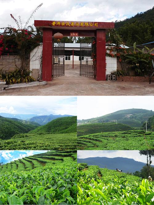 云南景谷县有什么特产啊?景谷民乐镇到景谷多少公里-图3 云南景谷县有什么特产啊?景谷民乐镇到景谷多少公里-图3