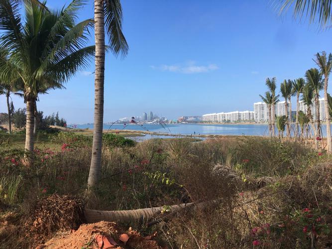 海花岛今天气温多少度？今天海口多少-图3