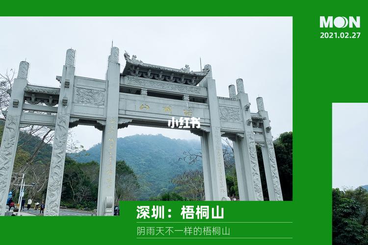深圳大梧桐山有多高?深圳梧桐树温度多少-图1 深圳大梧桐山有多高?深圳梧桐树温度多少-图1