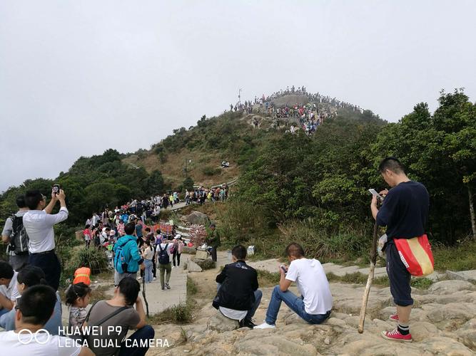 深圳大梧桐山有多高?深圳梧桐树温度多少-图2 深圳大梧桐山有多高?深圳梧桐树温度多少-图2