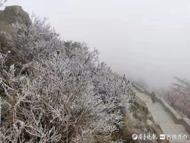 山东最冷的三个地方?泰安历史最冷多少度-图2 山东最冷的三个地方?泰安历史最冷多少度-图2
