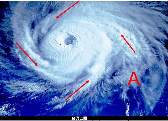 为什么台风都是由南向北?台风出现在多少纬度-图3 为什么台风都是由南向北?台风出现在多少纬度-图3