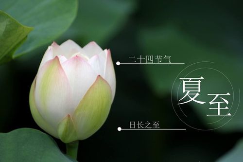 24节气夏至前三个节气?夏至有多少个节气-图1 24节气夏至前三个节气?夏至有多少个节气-图1
