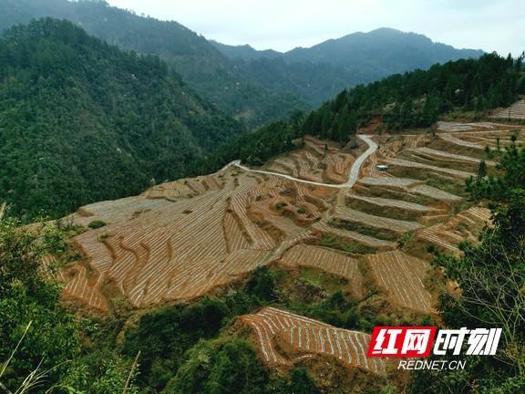湖南洗车河归哪个地区管辖?龙山县洛塔乡人口数是多少-图1 湖南洗车河归哪个地区管辖?龙山县洛塔乡人口数是多少-图1