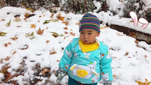河南洛阳冬天最冷多少度?小朋友冬天去洛阳穿多少件-图3 河南洛阳冬天最冷多少度?小朋友冬天去洛阳穿多少件-图3