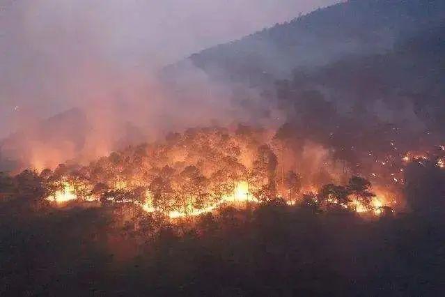 下雨山能着火吗?湿度多少不容易火灾-图1 下雨山能着火吗?湿度多少不容易火灾-图1