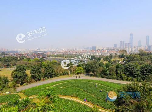 南宁历史天气?南宁1月份天气温度多少-图1 南宁历史天气?南宁1月份天气温度多少-图1