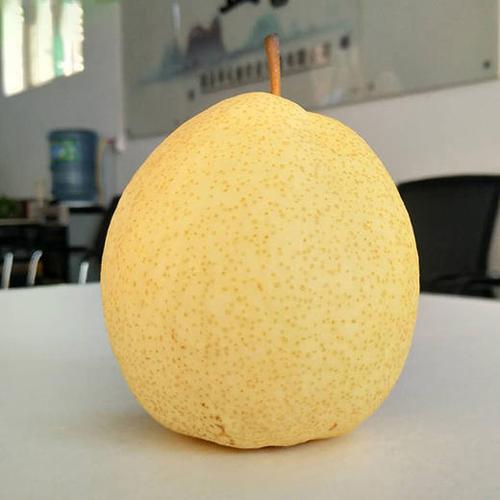 山西临汾的特产是什么?山西隰县酥梨现在多少钱一斤-图1 山西临汾的特产是什么?山西隰县酥梨现在多少钱一斤-图1