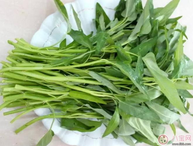 空心菜多少温度长得快?空心菜要多少湿度-图1 空心菜多少温度长得快?空心菜要多少湿度-图1