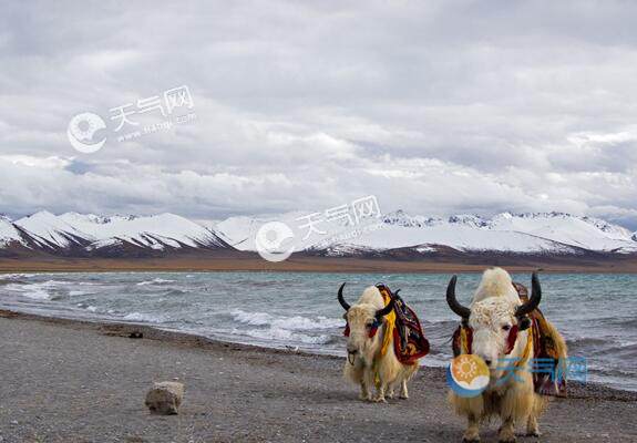 西藏旅游最佳时间气温?西藏山南温度多少-图1 西藏旅游最佳时间气温?西藏山南温度多少-图1