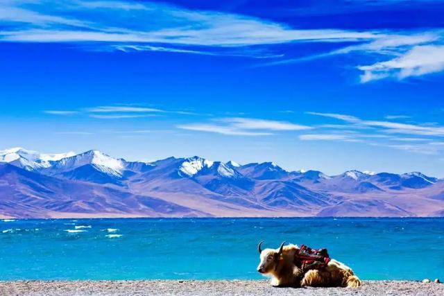 西藏旅游最佳时间气温?西藏山南温度多少-图3 西藏旅游最佳时间气温?西藏山南温度多少-图3
