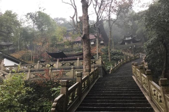 柯桥可以开车去山顶看夜景的地方?绍兴到杭州灵隐寺多少钱-图3 柯桥可以开车去山顶看夜景的地方?绍兴到杭州灵隐寺多少钱-图3