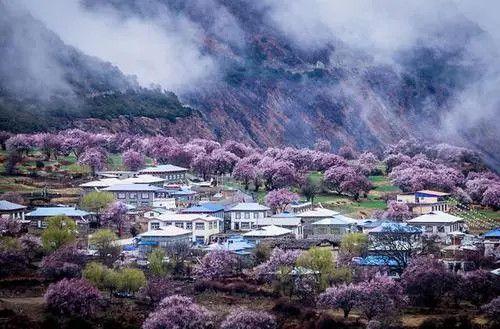 林芝市海拔最低是哪里?林芝最低气温多少度-图2 林芝市海拔最低是哪里?林芝最低气温多少度-图2