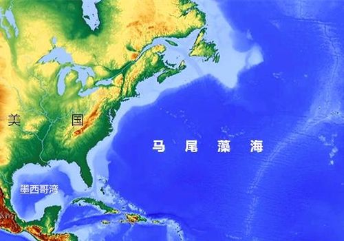 马尾藻海是世界上著名的洋中之海是对吗?马尾岛面积是多少-图3 马尾藻海是世界上著名的洋中之海是对吗?马尾岛面积是多少-图3