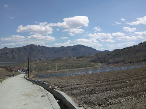 白山的临江市有多少个社区？白山到东风多少公里-图2