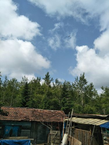 白山的临江市有多少个社区？白山到东风多少公里-图3