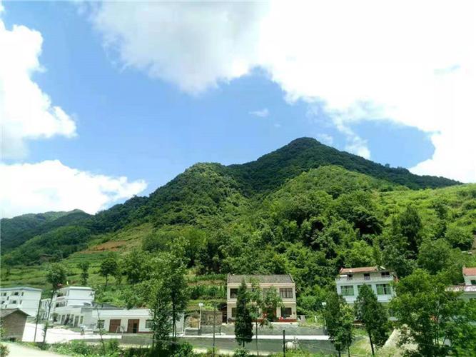 蒿县到西安.自驾路线?蒿坪镇到安康多少公里-图3 蒿县到西安.自驾路线?蒿坪镇到安康多少公里-图3