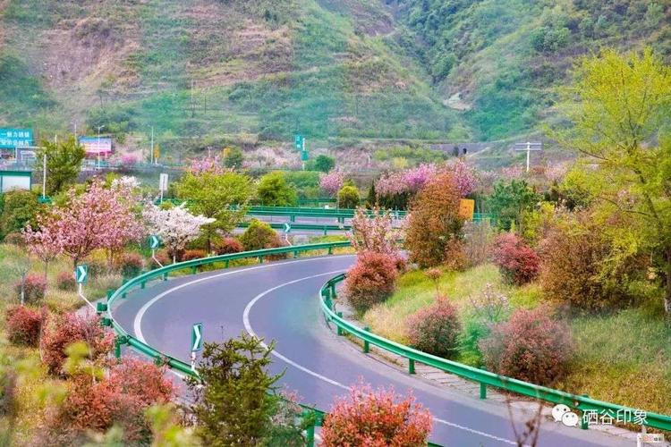 安康到蒿坪高速多少公里,过路费多钱?蒿坪镇到安康走高速多少公里-图1 安康到蒿坪高速多少公里,过路费多钱?蒿坪镇到安康走高速多少公里-图1