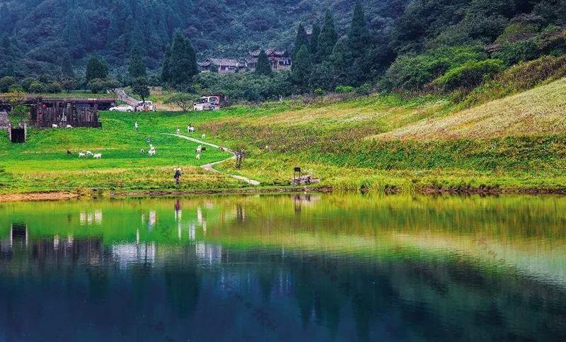 重庆南川马尿水露营基地海拔多少?金佛山10月山顶温度多少-图2 重庆南川马尿水露营基地海拔多少?金佛山10月山顶温度多少-图2