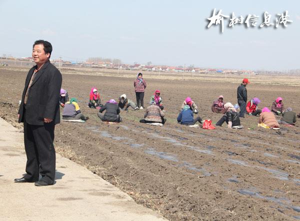 吉林省榆树市泗河镇有多少个村子?榆树离青山多少公里-图3 吉林省榆树市泗河镇有多少个村子?榆树离青山多少公里-图3