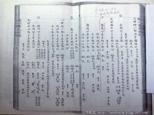 浠水汪岗义门陈氏字辈?汪岗到浠水多少公里-图3 浠水汪岗义门陈氏字辈?汪岗到浠水多少公里-图3