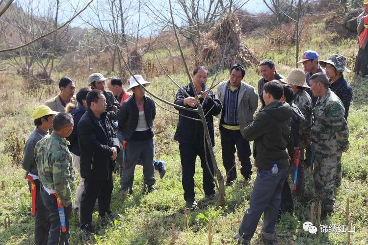 云南省华宁县通红甸乡有哪些村委会？华宁通红甸乡班车多少钱-图3