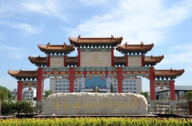 杜康的产地在我国什么地方?汝阳到柏树多少公里-图3 杜康的产地在我国什么地方?汝阳到柏树多少公里-图3