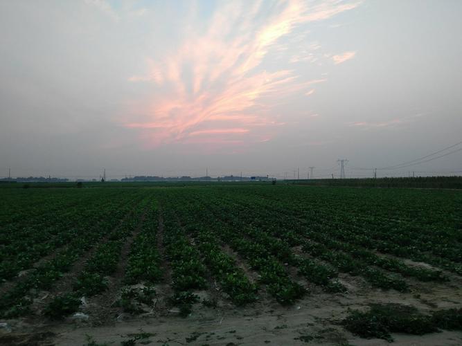 河北省邯郸市大名县有多少人?大名县到来无多少公里-图3 河北省邯郸市大名县有多少人?大名县到来无多少公里-图3