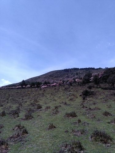 四川凉山州平均海拔是多少?凉山平均气温是多少-图2 四川凉山州平均海拔是多少?凉山平均气温是多少-图2