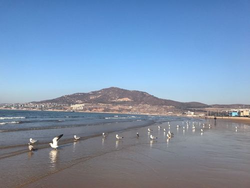 威海多少度适合玩?威海这一周的气温是多少-图3 威海多少度适合玩?威海这一周的气温是多少-图3