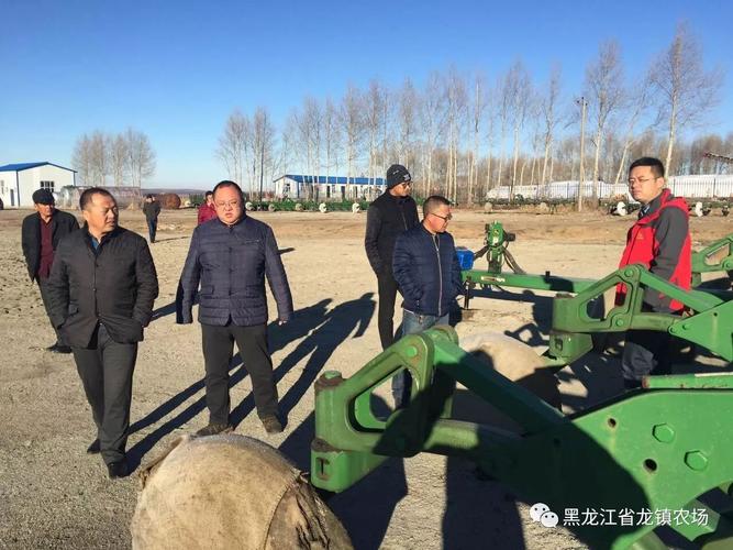 黑龙江省农垦总局下属几个分局(具体名称)?五大连池龙镇农场多少人口-图3 黑龙江省农垦总局下属几个分局(具体名称)?五大连池龙镇农场多少人口-图3