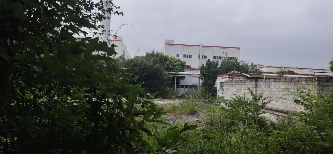 三明市区哪里工业区?本人高中学历?沙县金沙园多少亩-图2 三明市区哪里工业区?本人高中学历?沙县金沙园多少亩-图2