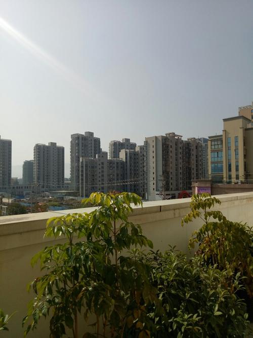 三明市区哪里工业区?本人高中学历?沙县金沙园多少亩-图3 三明市区哪里工业区?本人高中学历?沙县金沙园多少亩-图3
