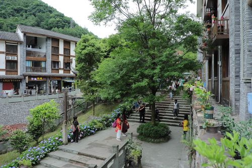 斜源小镇夏天温度?成都到大邑斜源镇有多少公里-图2 斜源小镇夏天温度?成都到大邑斜源镇有多少公里-图2