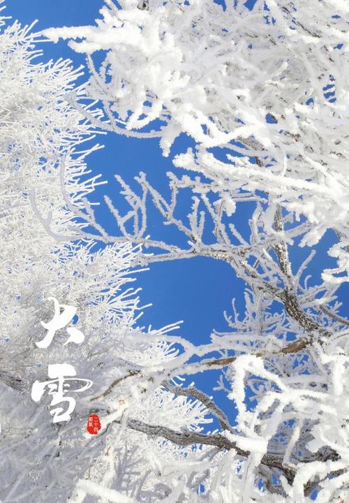 2020年24节气大雪那天哈尔滨的温度?20号哈尔滨的气温是多少-图1 2020年24节气大雪那天哈尔滨的温度?20号哈尔滨的气温是多少-图1