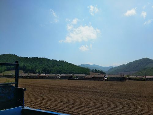 抚顺市新宾满族自治县几个乡镇?新宾到平顶山镇客车多少钱-图2 抚顺市新宾满族自治县几个乡镇?新宾到平顶山镇客车多少钱-图2