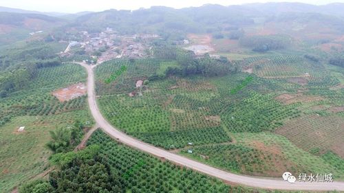 平南县有几个乡镇?岩滩到北景镇有多少公里-图3 平南县有几个乡镇?岩滩到北景镇有多少公里-图3