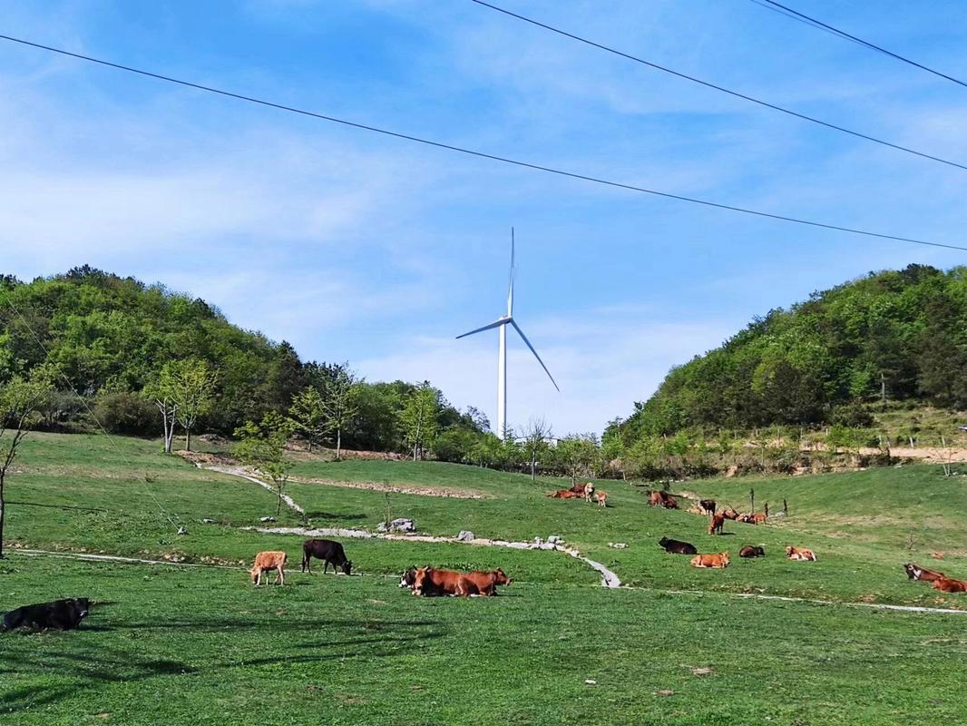 宜昌百里荒好玩吗?百里荒景区怎么样?宜昌烤全羊多少钱一只烤羊-图3 宜昌百里荒好玩吗?百里荒景区怎么样?宜昌烤全羊多少钱一只烤羊-图3