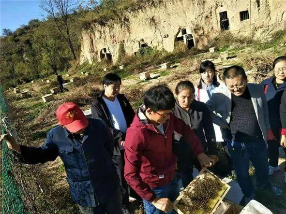 农民最辛苦的活是什么活？富县到张家湾镇多少公里-图2