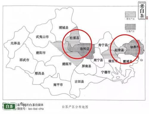 白茶到底是哪里的?太谷区小白乡海拔多少-图1 白茶到底是哪里的?太谷区小白乡海拔多少-图1
