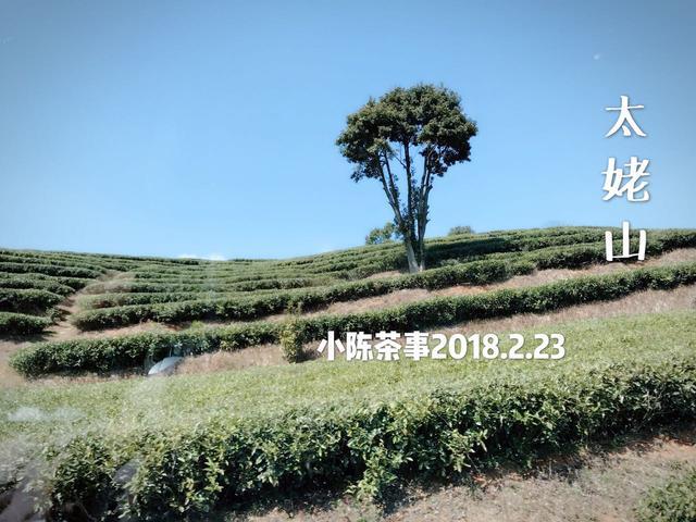 白茶到底是哪里的?太谷区小白乡海拔多少-图3 白茶到底是哪里的?太谷区小白乡海拔多少-图3