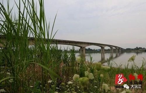 沅江市,有多少个乡镇?黄茅洲多少人口-图2 沅江市,有多少个乡镇?黄茅洲多少人口-图2