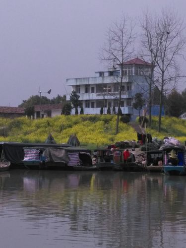 沅江市,有多少个乡镇?黄茅洲多少人口-图3 沅江市,有多少个乡镇?黄茅洲多少人口-图3
