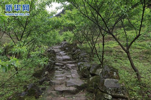 低山区海拔是多高?珙县王家镇海拔多少米-图2 低山区海拔是多高?珙县王家镇海拔多少米-图2