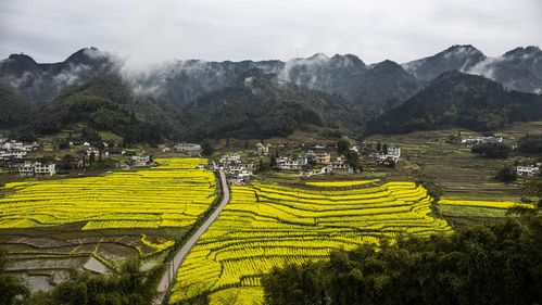 低山区海拔是多高?珙县王家镇海拔多少米-图3 低山区海拔是多高?珙县王家镇海拔多少米-图3