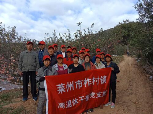 莱州市有哪些镇?莱州市到柞村镇多少公里-图2 莱州市有哪些镇?莱州市到柞村镇多少公里-图2
