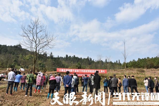 西连山是哪个省?三穗县雪洞镇人口多少-图2 西连山是哪个省?三穗县雪洞镇人口多少-图2