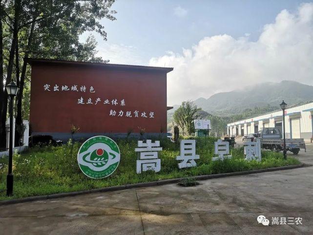 在中国什么动物最好看?洛阳市嵩县九皋镇乡人口多少-图1 在中国什么动物最好看?洛阳市嵩县九皋镇乡人口多少-图1