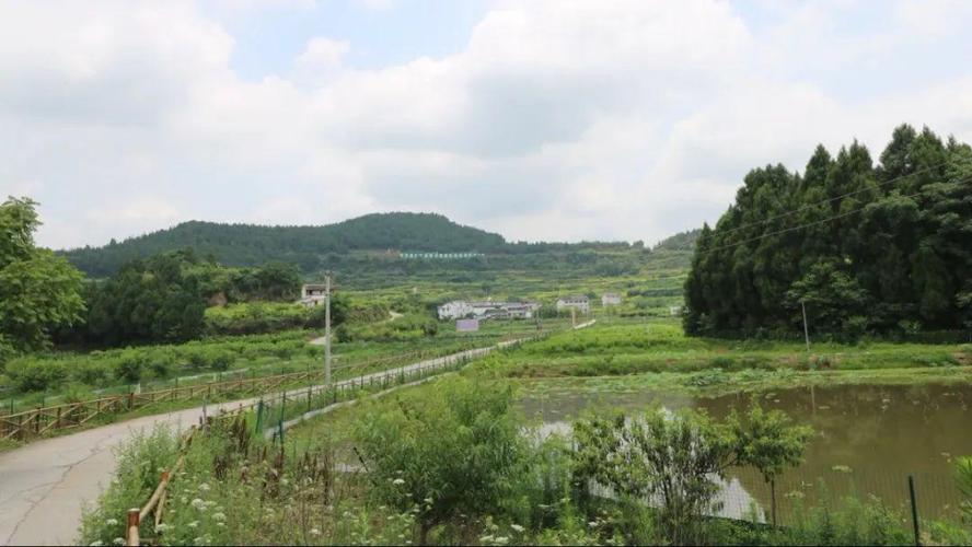 西充县古楼镇马龙滩村新农村规划?西充县古楼镇逢场日是多少-图2 西充县古楼镇马龙滩村新农村规划?西充县古楼镇逢场日是多少-图2